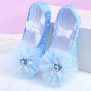 Princess Dance Shoes Soft Sole Ballet Special Training Shoes